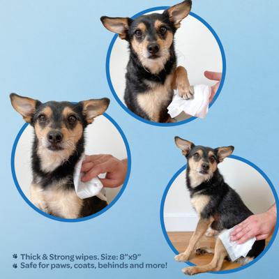 Show full view: Best Pet Supplies Aloe Vera Unscented Dog & Cat Grooming Wipes, 400 count slide 3 of 7