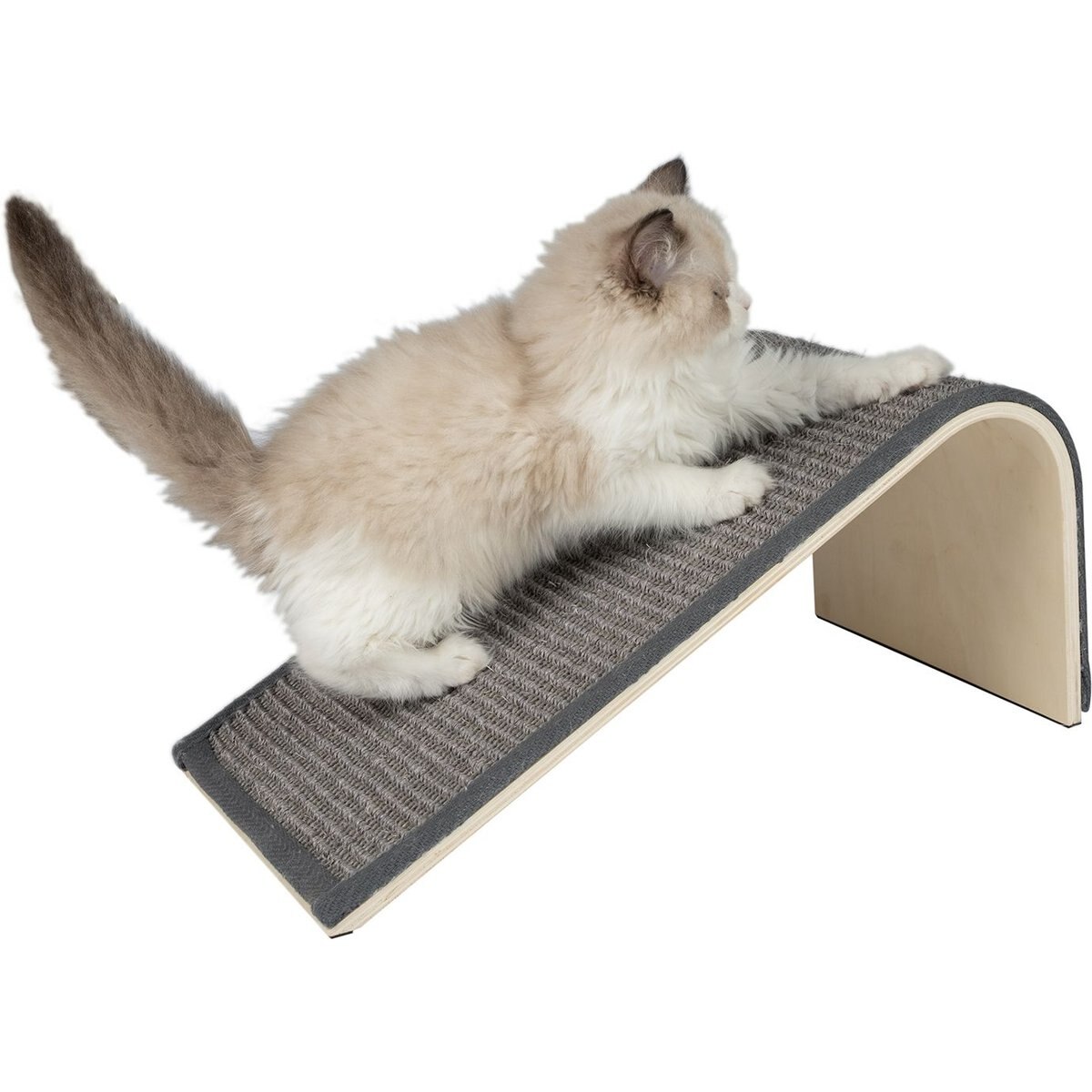 Best Pet Supplies Catify Sloped Sisal Cat Scratcher, Gray
