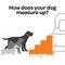 Show in main carousel: Best Pet Supplies CertiPUR-US Certified Foam Foldable Dog Steps, Teal, 4-Steps slide 6 of 7