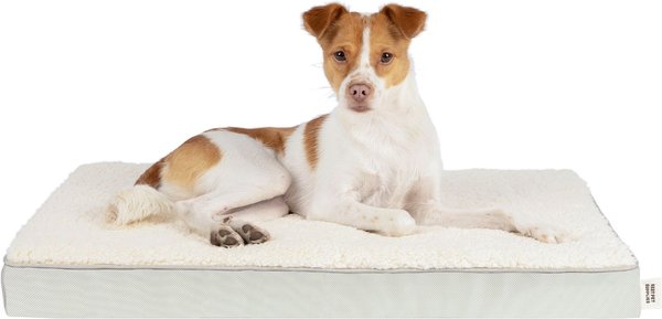 Show full view: Best Pet Supplies Cute Orthopedic Bolster Dog & Cat Mat Bed, Beige, Medium slide 1 of 8