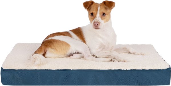 Show full view: Best Pet Supplies Cute Orthopedic Bolster Dog & Cat Mat Bed, Blue, Medium slide 1 of 8