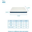Show in main carousel: Best Pet Supplies Cute Orthopedic Bolster Dog & Cat Mat Bed, Blue, Medium slide 6 of 8