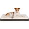 Show in main carousel: Best Pet Supplies Cute Orthopedic Bolster Dog & Cat Mat Bed, Brown, X-Large slide 1 of 8