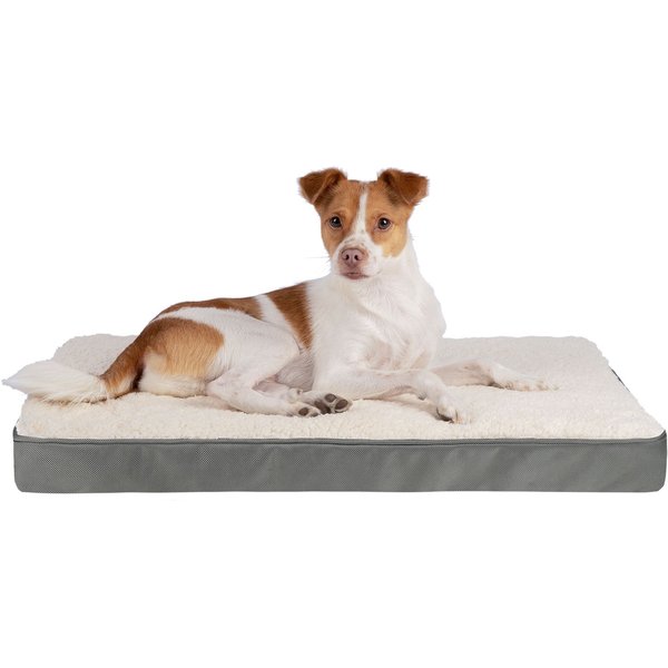 Barpor 4D High-Density Orthopedic Bolster Dog & Cat Bed