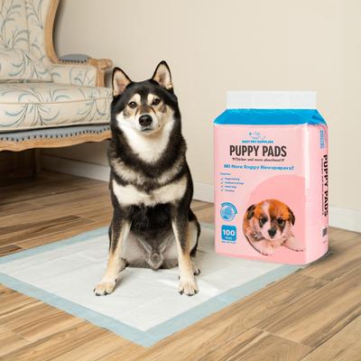 Show full view: Best Pet Supplies Disposable Puppy Pads Training Dog Potty Pads, Baby Pink, 23 x 22-in, 100 count slide 7 of 8