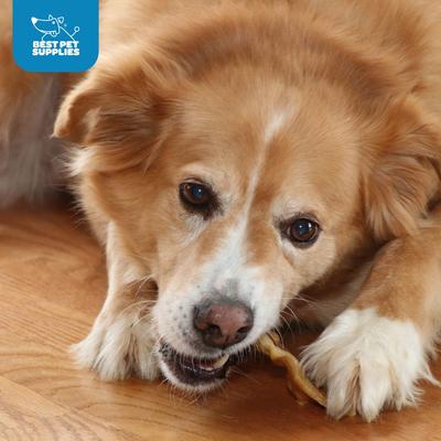 Show full view: Best Pet Supplies GigaBite All-Natural Adult Pig Ear Slices Dog Chews, 2.2-lb bag slide 3 of 8