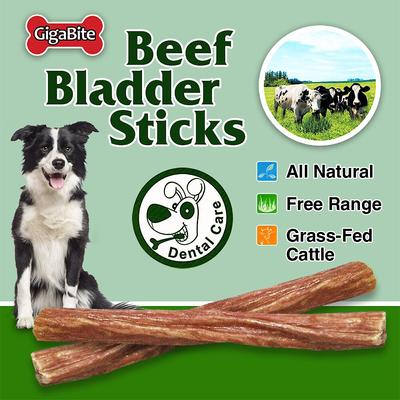 Show full view: Best Pet Supplies GigaBite Beef Bladder Sticks Dog Treats, 6-inch, 25 count slide 4 of 6
