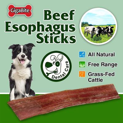 Show full view: Best Pet Supplies GigaBite Beef Esophagus Dog Treats, 10 count slide 4 of 7