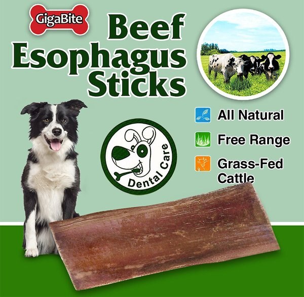 Best Pet Supplies GigaBite Beef Esophagus Dog Treats, 6-inch