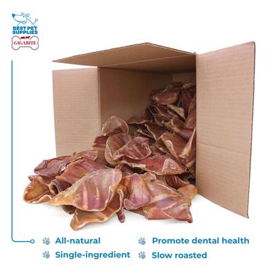 Show full view: Best Pet Supplies GigaBite Natural & Healthy Adult Roasted Whole Pig Ears Dog Chews, 60 count slide 3 of 6
