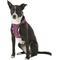Show in main carousel: Best Pet Supplies Voyager All Season Mesh Dog Harness, Fuchsia, Large slide 5 of 10