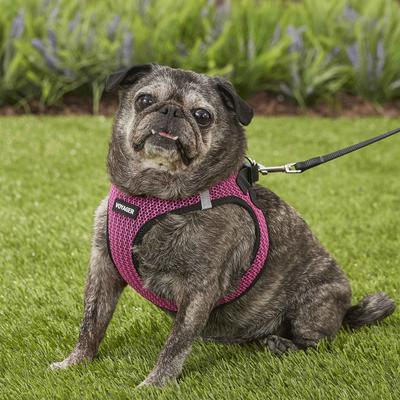 Show full view: Best Pet Supplies Voyager All Season Mesh Dog Harness, Fuchsia, Large slide 7 of 10