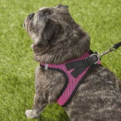 Show full view: Best Pet Supplies Voyager All Season Mesh Dog Harness, Fuchsia, Large slide 8 of 10