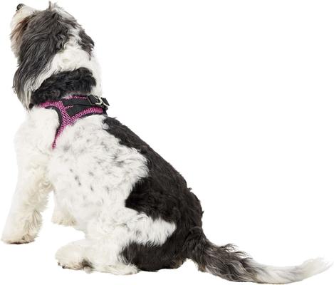 Show full view: Best Pet Supplies Voyager All Season Mesh Dog Harness, Fuchsia, Medium slide 6 of 10