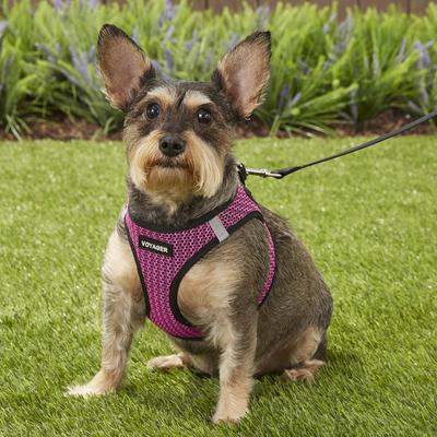 Show full view: Best Pet Supplies Voyager All Season Mesh Dog Harness, Fuchsia, Medium slide 7 of 10