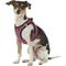 Show in main carousel: Best Pet Supplies Voyager All Season Mesh Dog Harness, Fuchsia, Small slide 5 of 10