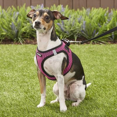 Show full view: Best Pet Supplies Voyager All Season Mesh Dog Harness, Fuchsia, Small slide 7 of 10