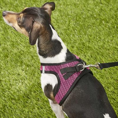 Show full view: Best Pet Supplies Voyager All Season Mesh Dog Harness, Fuchsia, Small slide 8 of 10