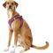 Show in main carousel: Best Pet Supplies Voyager All Season Mesh Dog Harness, Fuchsia, X-Large slide 5 of 10