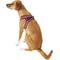 Show in main carousel: Best Pet Supplies Voyager All Season Mesh Dog Harness, Fuchsia, X-Large slide 6 of 10
