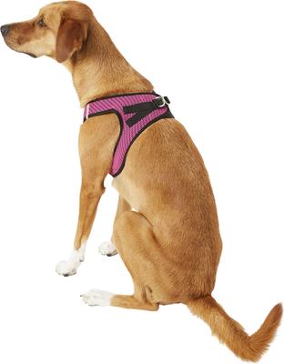 Show full view: Best Pet Supplies Voyager All Season Mesh Dog Harness, Fuchsia, X-Large slide 6 of 10