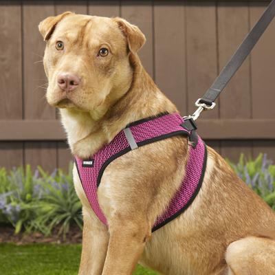 Show full view: Best Pet Supplies Voyager All Season Mesh Dog Harness, Fuchsia, X-Large slide 7 of 10