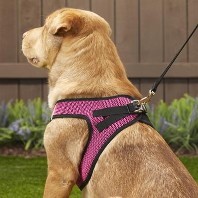 Show full view: Best Pet Supplies Voyager All Season Mesh Dog Harness, Fuchsia, X-Large slide 8 of 10
