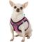 Show in main carousel: Best Pet Supplies Voyager All Season Mesh Dog Harness, Fuchsia, X-Small slide 5 of 10