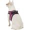Show in main carousel: Best Pet Supplies Voyager All Season Mesh Dog Harness, Fuchsia, X-Small slide 6 of 10