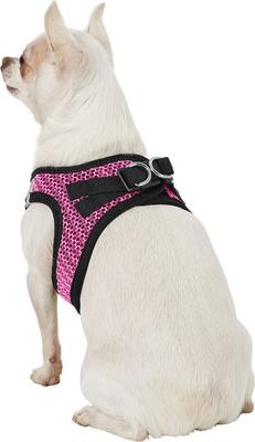 Show full view: Best Pet Supplies Voyager All Season Mesh Dog Harness, Fuchsia, X-Small slide 6 of 10