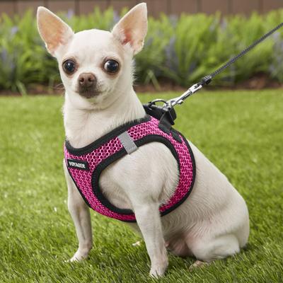 Show full view: Best Pet Supplies Voyager All Season Mesh Dog Harness, Fuchsia, X-Small slide 7 of 10