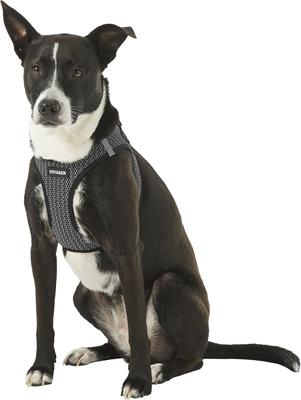 Show full view: Best Pet Supplies Voyager All Season Mesh Dog Harness, Gray, Large slide 5 of 10