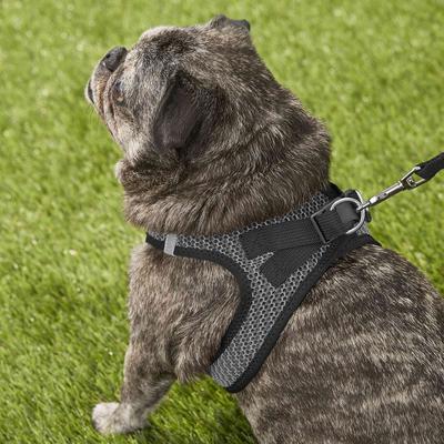 Show full view: Best Pet Supplies Voyager All Season Mesh Dog Harness, Gray, Large slide 8 of 10
