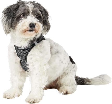 Show full view: Best Pet Supplies Voyager All Season Mesh Dog Harness, Gray, Medium slide 5 of 10