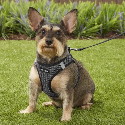 Show full view: Best Pet Supplies Voyager All Season Mesh Dog Harness, Gray, Medium slide 7 of 10