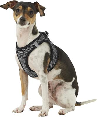 Show full view: Best Pet Supplies Voyager All Season Mesh Dog Harness, Gray, Small slide 5 of 10