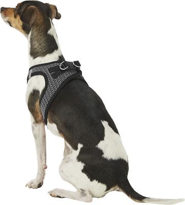 Show full view: Best Pet Supplies Voyager All Season Mesh Dog Harness, Gray, Small slide 6 of 10