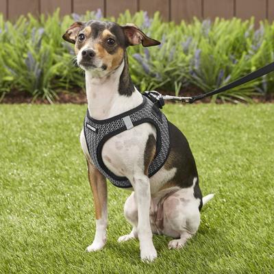 Show full view: Best Pet Supplies Voyager All Season Mesh Dog Harness, Gray, Small slide 7 of 10