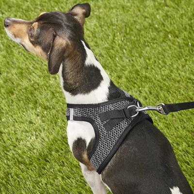 Show full view: Best Pet Supplies Voyager All Season Mesh Dog Harness, Gray, Small slide 8 of 10