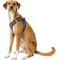 Show in main carousel: Best Pet Supplies Voyager All Season Mesh Dog Harness, Gray, X-Large slide 5 of 10