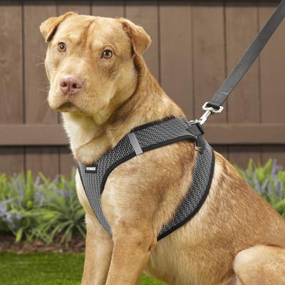 Show full view: Best Pet Supplies Voyager All Season Mesh Dog Harness, Gray, X-Large slide 7 of 10