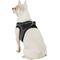 Show in main carousel: Best Pet Supplies Voyager All Season Mesh Dog Harness, Gray, X-Small slide 6 of 10