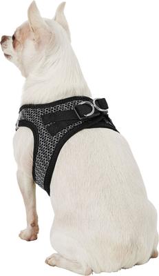 Show full view: Best Pet Supplies Voyager All Season Mesh Dog Harness, Gray, X-Small slide 6 of 10