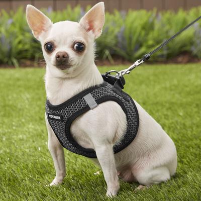 Show full view: Best Pet Supplies Voyager All Season Mesh Dog Harness, Gray, X-Small slide 7 of 10