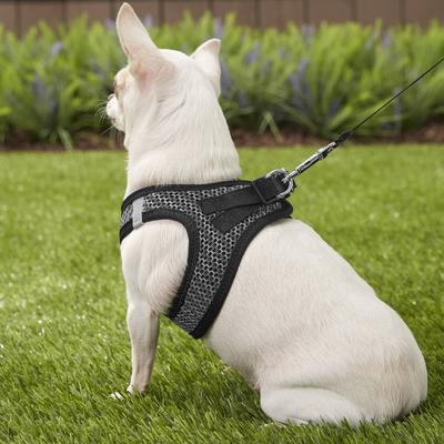 Show full view: Best Pet Supplies Voyager All Season Mesh Dog Harness, Gray, X-Small slide 8 of 10