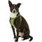 Show in main carousel: Best Pet Supplies Voyager All Season Mesh Dog Harness, Lime Green, Large slide 6 of 11