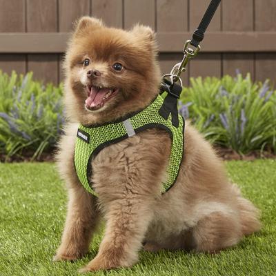 Show full view: Best Pet Supplies Voyager All Season Mesh Dog Harness, Lime Green, Large slide 8 of 11
