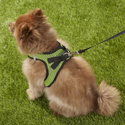 Show full view: Best Pet Supplies Voyager All Season Mesh Dog Harness, Lime Green, Large slide 9 of 11