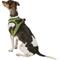 Show in main carousel: Best Pet Supplies Voyager All Season Mesh Dog Harness, Lime Green, Medium slide 6 of 10
