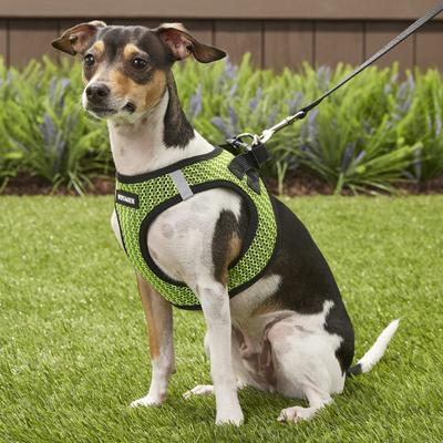 Show full view: Best Pet Supplies Voyager All Season Mesh Dog Harness, Lime Green, Medium slide 7 of 10